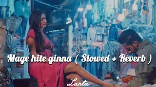 Mage Hite Ginna ( Slowed + Reverb ) #song #slowd #hirutv @HiruTVOfficial #patakurullo