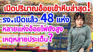 ส่อง! ปริมาณอ้อยเข้าหีบล่าสุด รง.เปิดแล้ว48แห่ง อ้อยไฟยังสูง เหตุจากหลายประเด็น?