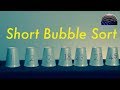 Short Bubble Sort Algorithm