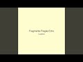 Fragments Fragile Echo