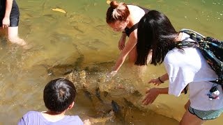 No-Fishing Zone (Tagal) of Sabah river