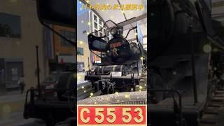 貴重！【SL】数奇な運命で静態保存された「C55-53」「C55-46」