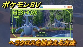 ポケモンＳＶ　ヘラクロスを捕まえる方法！出現場所は？図鑑No.２６２　ポケモン図鑑を埋めよう！　【スカーレット・バイオレット】