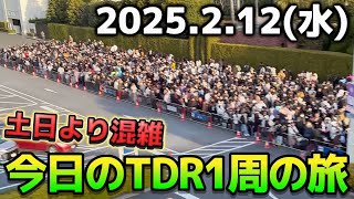 【超最新】まさかの土日より大混雑⁉️今日のディズニーリゾート一周の旅