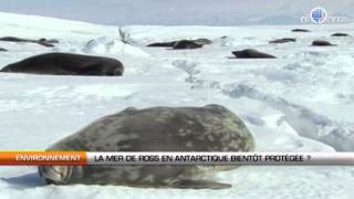 La mer de Ross en Antarctique bientôt aire protégée ?