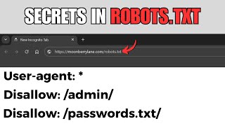 Find Hidden Secrets of Any Website (robots.txt) | picoCTF - Roboto Sans