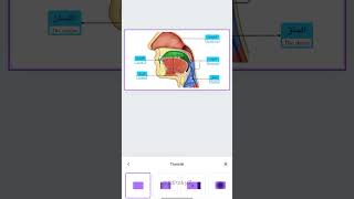 Cara membuat transisi morph di Canva