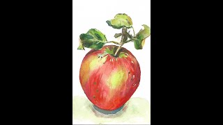 Watercolour Apple