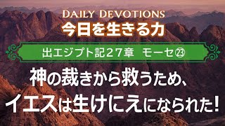 《出エジプト記27章 モーセ㉓》神の裁きから救うため、イエスは生けにえになられた！【今日を生きる力】