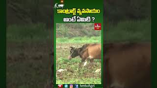 కాంట్రాక్ట్ వ్యవసాయం అంటే ఏమిటి ? | #agriculture #contractfarming #agrishorts #hmtvagri