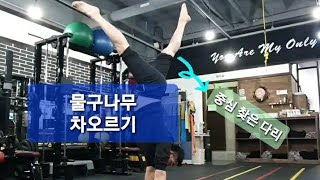 매일 물구나무를 2년 동안 서 본 사람의  차오르기 팁 [긴 설명 주의]