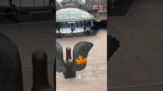 Skating at Robson Square Ice Rink ❄️⛸️ Vancouver Winter Fun! 🇨🇦❤️#shorts @VividVancouver