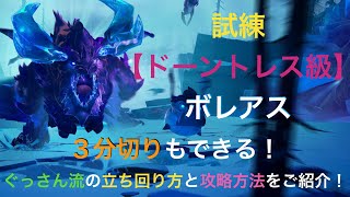 【ドーントレス】３分切りもできる！試練ドーントレス級ボレアスもぐっさん流の立ち回り方と攻略方法をご紹介！