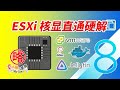 【更新】ESXi直通核显硬解 以N5105 Debian Docker安装N大Jellyfin为例 低功耗intel CPU核显通用核显硬解转码 非pve下LXC安装Debian不套娃