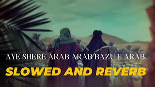AYE SHERE ARAB BAZU E ARAB | QASIDA | SLOWED AND REVERB | RAHAT FATAH ALI KHAN
