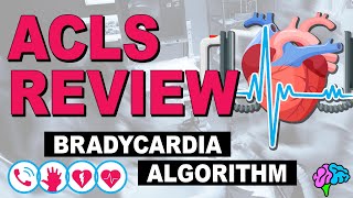 Bradycardia - ACLS Review