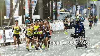 160403 2016 대구 국제 마라톤 예고 ㅣ KBS방송