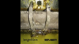 Isagooblam -100% Nasty(Experimental, Noise, Psychedelic, Avant Garde)