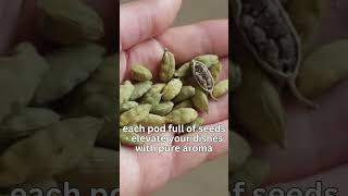 herbexo Top-Quality 8mm Cardamom (Elaichi) Elevate Every Dish with Fresh Aroma