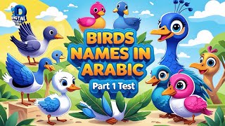 Test Your Arabic: Bird Names Quiz 1 | Arabic Vocabulary Challenge!