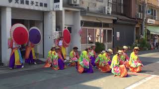 えひめYOSAKOI祭り2017　おおず瀬のはやみ蓮　殿町商店街演舞場