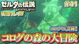 【NS】コログの森で大冒険！ゼルダの伝説 ブレスオブザワイルド 実況プレイ！#41【ニンテンドースイッチ】