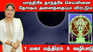 மாந்திரீக தாந்த்ரீக செய்வினை தோஷம் அனைத்தையும் விரட்டும் 1 மகா மந்திரம் வழிபாடு | seivinai dosham