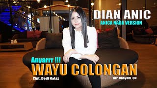 Dian Anic - Wayu Colongan