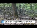 강원도 원주서 산불…1시간 반 만에 꺼져 ytn