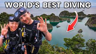 Best Diving Spots in the World RIGHT NOW!