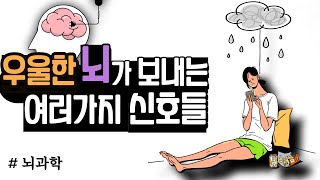 현대 뇌과학이 밝혀낸 우울증의 비밀 ㅣ 우울증, 불안, 공황, 불면증, 뇌과학