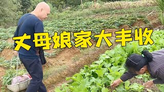 丈母娘家太多東西了！光哥這次來呀收穫滿滿，小鳳在旁一直叫停【桂平光哥】