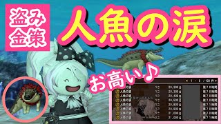 【ドラクエ10】「人魚の涙」を盗んで金策！水の領界ワニバーンから頂きます！【DQX】