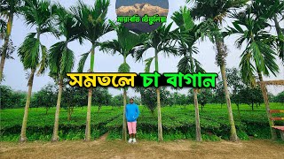 সমতলের চা বাগান | মায়াবতি তেঁতুলিয়া | Panchagarh | Part-7 | Season-1