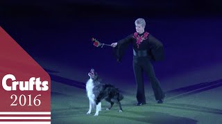 Mary Ray's Heelwork to Music Performance at Crufts 2016