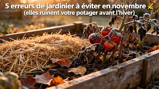 5 erreurs qui détruisent ton potager en novembre
