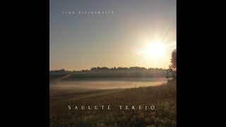 Lina Žilinskaitė - SAULUTĖ TEKĖJO (lithuanian folk ambient music)