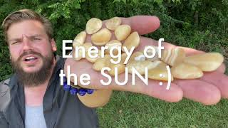 Yellow Quartz SUN ENERGY Positivity HELPS WITH DEPRESSION Productivity LIGHTHEARTEDNESS Healing Gem