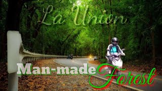 MAN-MADE FOREST tourist spot LA UNION || RYJEN CHANNEL