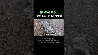 이번에도 역대급입니다..