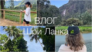 ВЛОГ | ШРИ-ЛАНКА. ЗАПОЙ НА 10 ДНЕЙ. ОТЕЛЬ RIU SRI LANKA