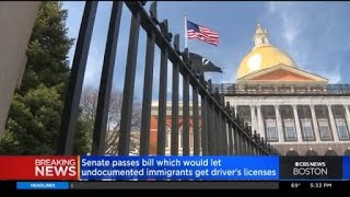 Senate Passes Bill Which Would Let Undocumented Immigrants Get Driver's Licenses