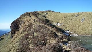 三嶺登山　名頃登山口からダケモミの丘を通って