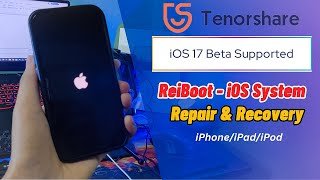 2023 Best iOS System Repair Tool| Tenorshare ReiBoot[Supported iOS 17]