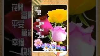 好友友👫早安❤️新週美好💗歌曲《芒果花》🎵