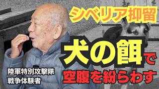 【特攻隊員の戦争体験】生きる為、犬の餌でさえも食べたシベリア抑留、仲間の埋葬と死と隣り合わせの強制労働に従事して