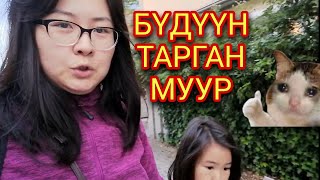 AriNomi Vlog | Бүдүүн тарган муур