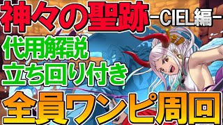 【超快適】ヴァルキリーCIEL降臨をワンピースキャラのみで簡単周回！代用解説・立ち回り付き！神々の聖跡！【パズドラ】