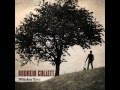 Andrew Collett - Whiskey Tree