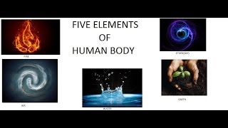 5 elements and mudras of humanbody